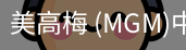 美高梅